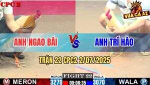 Trận 22 CPC2 2/7/2025 - Bướm Anh Trí Hào Kết Liễu Gà Khét Anh Ngao Bái