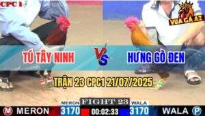 Trận 23 CPC1 21/7/2025 - Que Nghệ Anh Hưng Gò Đen Đâm Cựa Quá Nghiệt