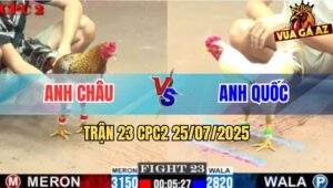 Trận 23 CPC2 25/7/2025 - Gà Cú Anh Châu Đá 3 Chân Gà Úa Té Cắm Đầu