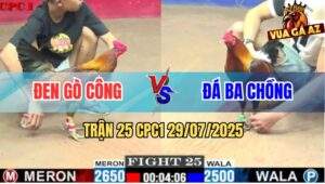 Trận 25 CPC1 29/7/2025 - Anh Đen Gò Công Và Đá Ba Chồng