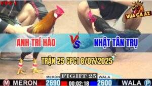 Trận 25 CPC1 8/7/2025 - Điều Tích Vối Anh Trí Hào Đá Gà Ô Chạy La Làng