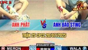 Trận 25 CPC2 20/7/2025 - Bướm Hiệu Bảo Sting Dính Cây Hiểm Té Hết Sửa