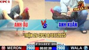 Trận 26 CPC1 8/7/2025 - Điều Cọp Anh Âu Đâm Điều Anh Xuân Như Cái Rổ