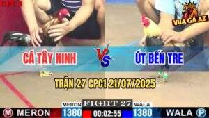 TRAN 27 CPC1 21072025