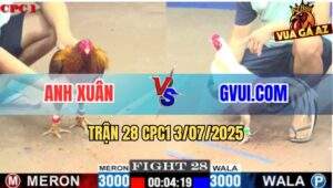 Trận 28 CPC1 3/7/2025 - Khét Anh Xuân Đâm Bướm GVUI Không Kịp Trở Tay