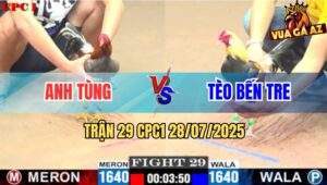 Trận 29 CPC1 28/7/2025 - Chuối Anh Tèo Bến Tre Bú Xám Ngất Ngây Luôn