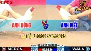 Trận 3 CPC2 2/7/2025 - Bướm Mồng Lá Anh Kiết Đá Bướm Mông Dâu Kêu Trời