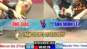 Trận 31 CPC1 21/7/2025 - Gà Chuối Anh Minh Lê Tải Cựa Quá Tốt