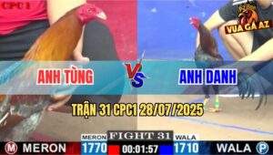 Trận 31 CPC1 28/7/2025 - Gà Xám Anh Tùng Đá Chân Nào Cũng Có Cựa