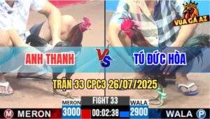 Trận 33 CPC3 26/7/2025 - Điều Mồng Lá Chân Xanh Đâm Không Bỏ Chân Nào