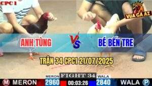 Trận 34 CPC1 21/7/2025 - Bướm Hiệu Anh Bé Đá Gà Anh Tùng Thở Không Kịp