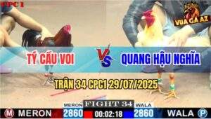 Trận 34 CPC1 29/7/2025 - Anh Tý Cầu Voi Và Anh Quang Hậu Nghĩa