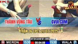 Trận 36 CPC1 21/7/2025 - GVUI.COM Thất Thủ Với Anh Thành Vũng Tàu