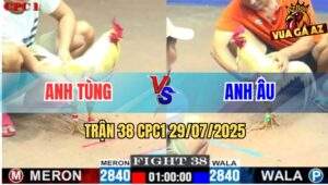 Trận 38 CPC1 29/7/2025 - Úa Mồng Cắt Anh Âu Đá Bướm Mồng Lá Ói Đen Đầu