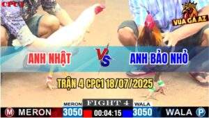 Trận 4 CPC1 19/7/2025 - Bướm Hiệu Anh Nhật Đâm Cựa Quá Hiểm