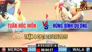 Trận 4 CPC1 24/7/2025 - Bướm Hiệu Anh Tuấn Hóc Môn Đâm Cựa Quá Dính