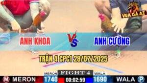 Trận 4 CPC1 28/7/2025 - Gà Điều Anh Khoa Đá Cây Lưng Que Nằm Đống