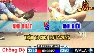 Trận 43 CPC1 19/7/2025 - Gà Điều Anh Nhật Lên 2 Bị Đá Ói Xỉu