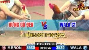 Trận 5 CPC1 17/7/2025 - Điều Wala C1 Bị Gà Cú Đá Không Nhấc Được Chân