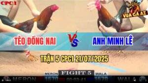 TRAN 5 CPC1 21072025