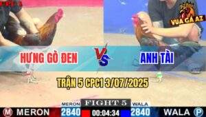 Trận 5 CPC1 3/7/2025 - Điều Chân Xanh Anh Tài Đá Bo Như Búa Đập