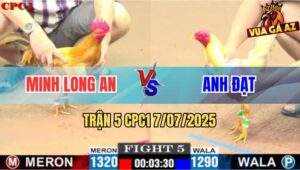 Trận 5 CPC1 7/7/2025 - Khét Mồng Lá Má Minh Bú Chân Nào Thấm Chân Đó