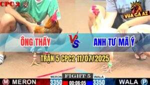 Trận 5 CPC2 11/7/2025 - Bướm Anh Tư Mã Ý Hạ Sát Vàng Tàu Ông Thầy