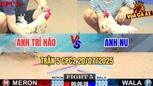 TRAN 5 CPC2 20072025