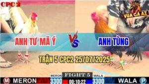 Trận 5 CPC2 25/7/2025 - Bướm Anh Tư Mã Ý Nhảy Hụt Bị Điều Đá Bay Xác