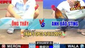 Trận 5 CPC2 9/7/2025 - Điều Cọp Bảo Sting Dính Cây Xạo Lờ Hết Cứu