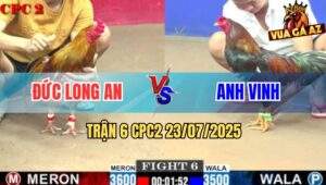 Trận 6 CPC2 23/7/2025 - Điều Cọp Anh Vinh Hạ Vàng Tàu Sau 1 Tay Nước