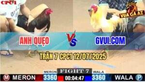 Trận 7 CPC1 12/7/2025 - Úa Hiệu GVUI.COM Đá Gà Anh Quẹo Bay Bồ