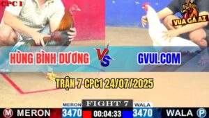 Trận 7 CPC1 24/7/2025 - Úa Hiệu GVUI.COM Đâm Không Bỏ Chân Nào
