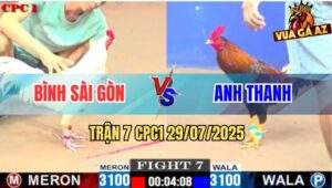 Trận 7 CPC1 29/7/2025 - Gà Điều Hạ Bướm Chân Trắng Trong Một Nốt Nhạc