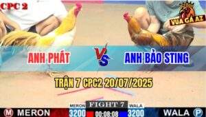 Trận 7 CPC2 20/7/2025 - Anh Bảo Sting Tiếp Tục Rớt Nài Với Anh Phát