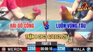 Trận 8 CPC3 6/7/2025 - Anh Hải Gò Công Và Anh Luôn Vũng Tàu
