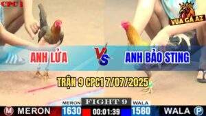 Trận 9 CPC1 7/7/2025 - Cú Cọp Bảo Sting Tiếp Tục Hạ Cuban Mái Lại