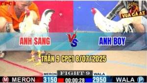 Trận 9 CPC1 8/7/2025 - Gà Anh Boy Nhẹ Hơn 2 Chấm Cho Ăn Đủ Và Cái Kết