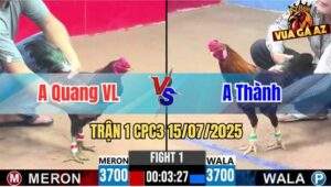 Trận 1 CPC3 15/07/2025 - Anh Quang Vĩnh Long Ra Quân Thuận Lợi