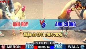 Trận 10 CPC1 1/7/2025 - Gà Bướm Phản Chân Nghiệt Đâm Điều Bung Chạy