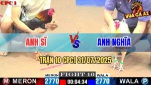 Trận 10 CPC1 31/7/2025 - Gà Anh Sĩ Phản Cây Chí Mạng Phản Kèo Lùm Xổ