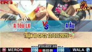 Trận 10 CPC2 13/7/2025 - Anh Tèo Long Khánh Và Anh Âu