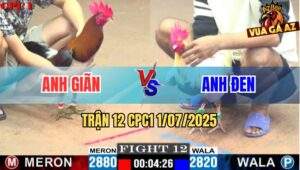 Trận 12 CPC1 1/7/2025 - Gà Điều Anh Tùng Canh Chặn Đá Bướm Ói Nằm Sân