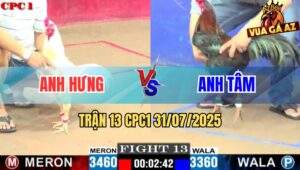 Trận 13 CPC1 31/7/2025 - Gà Anh Hưng Và Gà Anh Tâm Đưa Nhau Đi Xa