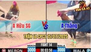 Trận 14 CPC3 15/07/2025 - Gà Anh Thắng Bị Dí Bạc Và Cái Kết Lật Kèo