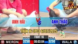 Trận 16 CPC3 6/7/2025 - Gà Anh Thảo Đá Như Cái Máy Dở Chân Là Đâm