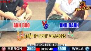 Trận 17 CPC1 1/7/2025 - Gà Anh Bảo Và Gà Anh Danh Hoà Nhau Gay Cấn