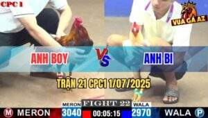 Trận 22 CPC1 1/7/2025 - Gà Điều Chân Xanh Của Anh Boy Đá Quá Kinh Di