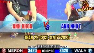Trận 22 CPC1 31/7/2025 - Gà Anh Khoa Ghim Cây Mu Lưng Lụm Xổ Anh Nhựt