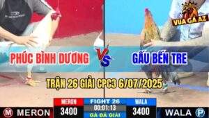 Trận 26 Giải CPC3 6/7/2025 - Phúc Bình Dương Vs Gấu Bến Tre